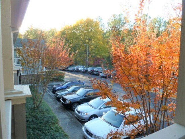 Building Photo - Updated, spacious 4br 2ba condo within wal...