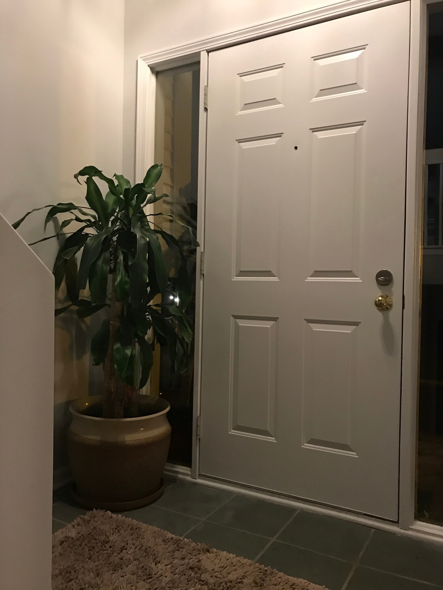 Landing on the main front entrance - 49730 Plymouth Way
