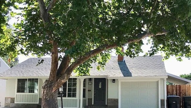 Primary Photo - Beautiful East Sac Home