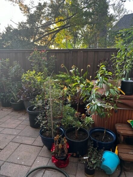 Building Photo - 5587 Makati Cir