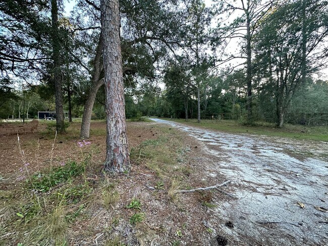 Building Photo - 4 Bedroom/2 Bathroom in Chipley, FL