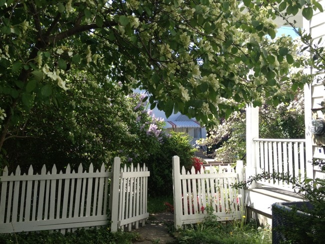 Building Photo - 828 N Euclid Ave