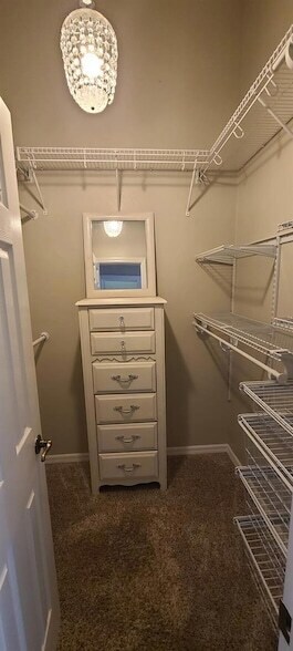 Building Photo - 2847 Majestic Isle Dr