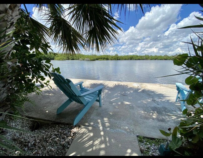 Watch bird and marine 5 steps away - 6520 N Ocean Blvd