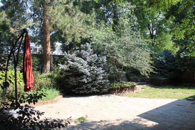 Building Photo - Gorgeous 2 Story Home in Columbine West!