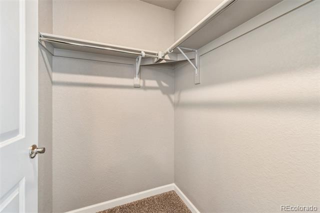 Building Photo - 4799 Rosette St