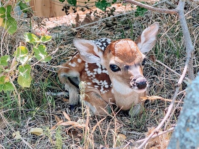 Building Photo - 21822 Tallahassee Ave