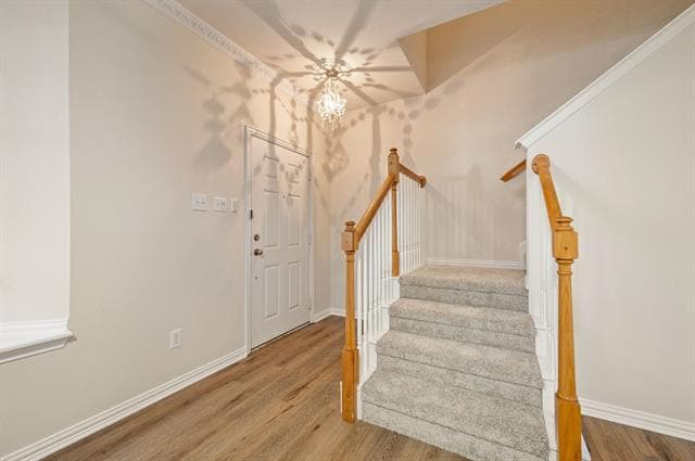 Building Photo - 2508 Durango Ridge Dr