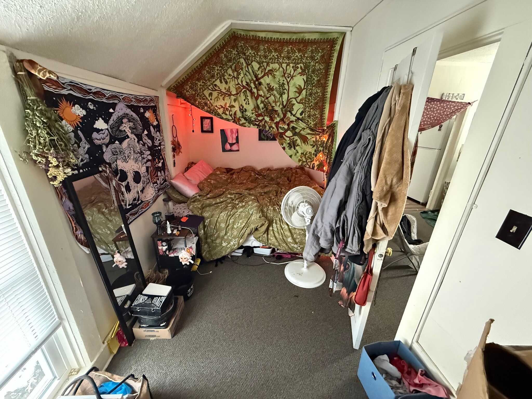 Building Photo - 514 Niagara St