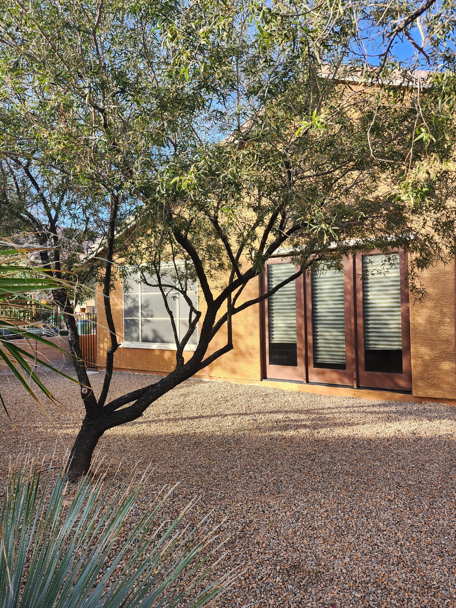 Building Photo - 1546 Campfire Ln