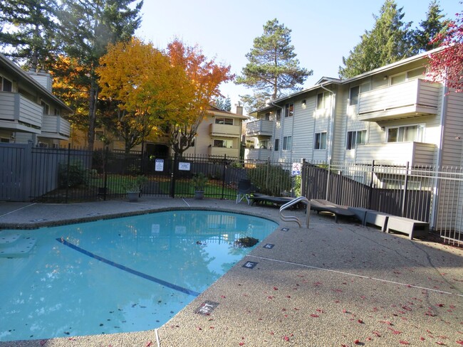 Building Photo - Renton Highlands 2Bd/1Ba ground floor Cond...