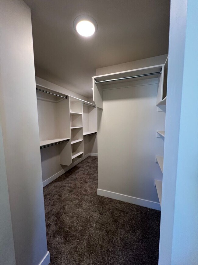 Building Photo - Brand New Home!