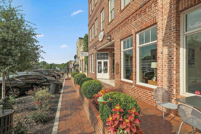 Building Photo - New Construction Rental WALKABLE to Downtown Senoia!