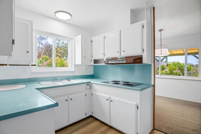 Building Photo - Spacious 4-bedroom, 2-bathroom home in coveted University City