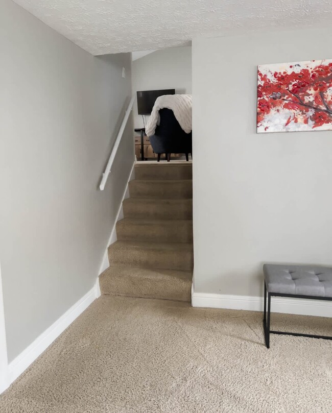 Downstairs area showing the 5 stairs leading to the main living area and kitchen. - 1237 Giesse Dr