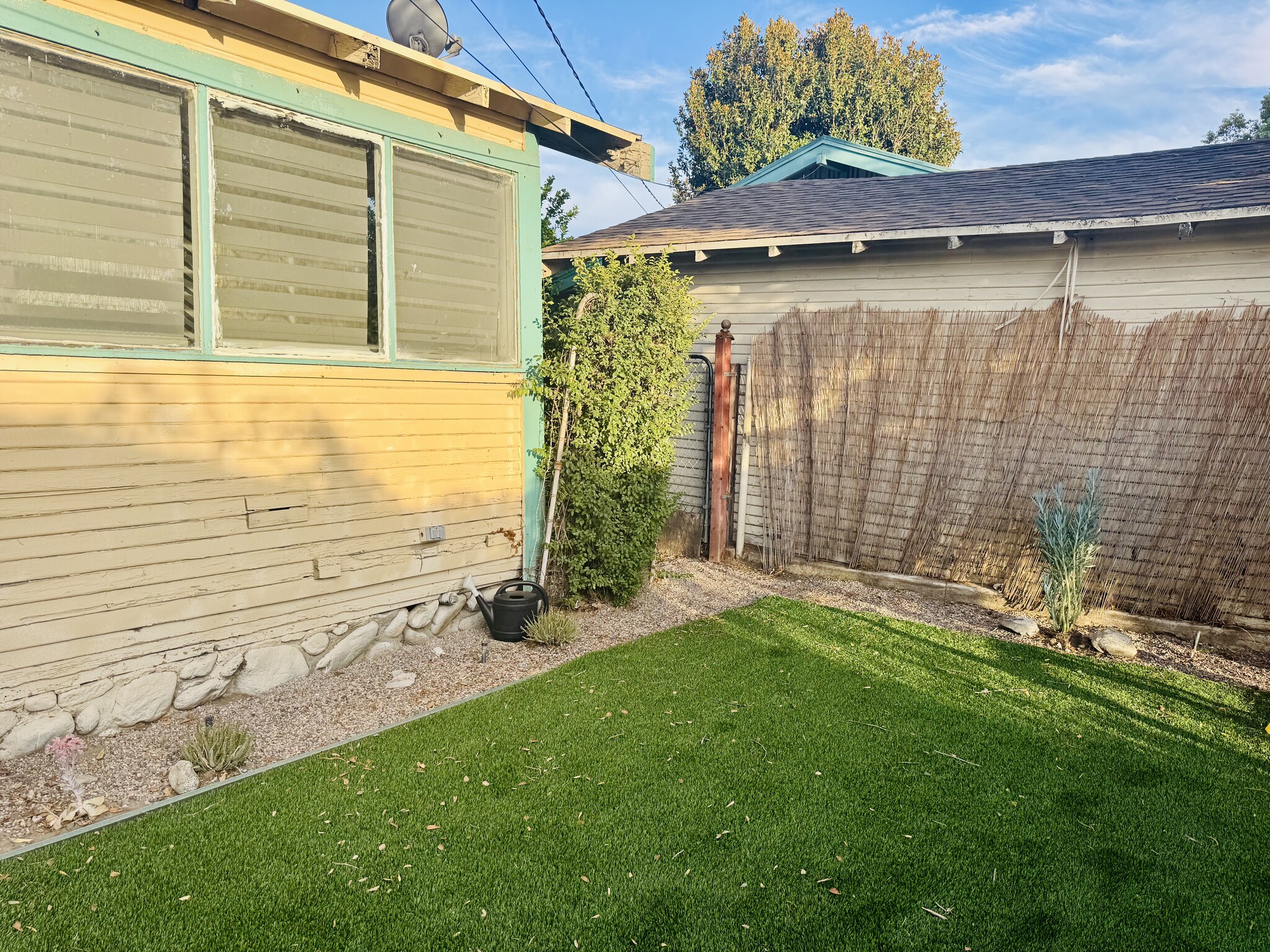 Backyard - 1045 Bradford St