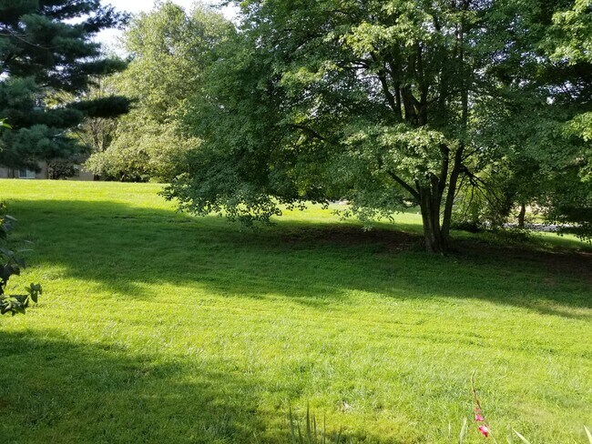 Building Photo - 5769 Yellowrose Ct