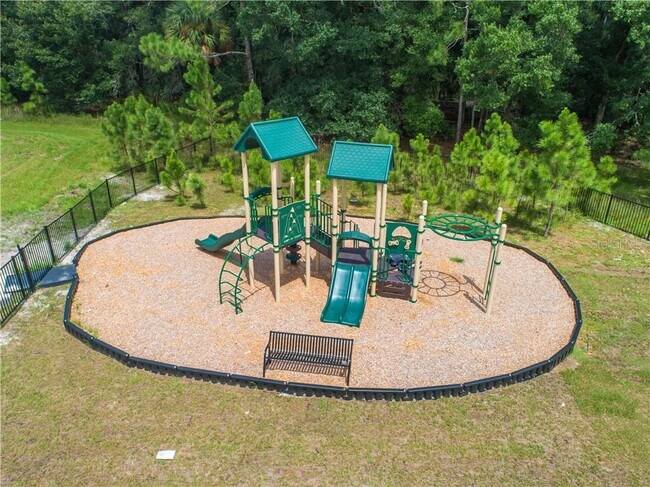 Children park along with dog walk area - 1074 Amber Leaf Trail