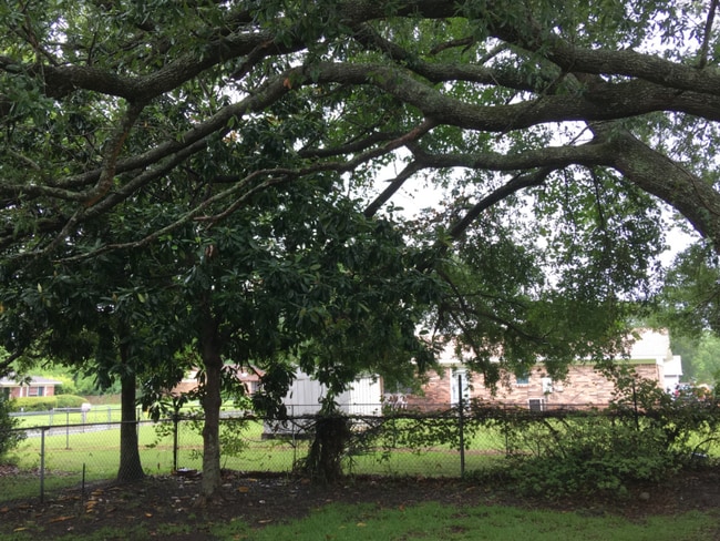 Building Photo - 659 Meadow Dr