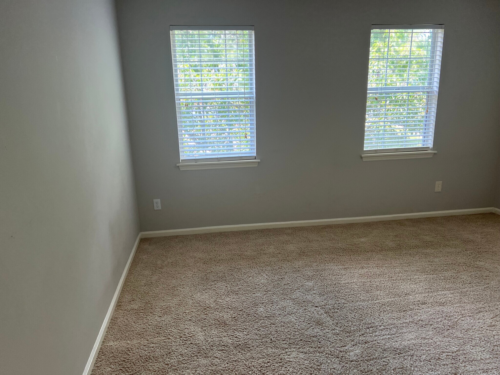 Two windows facing Street - 13500 Walkers Creek Dr