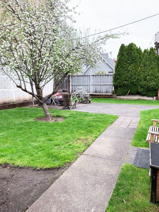 Building Photo - Amazing Remodeled 2 bd in Sellwood/Morelan...