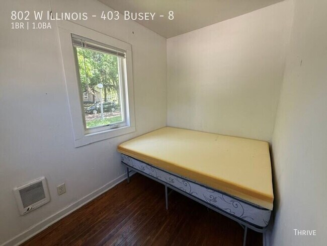 Building Photo - 802 W Illinois St