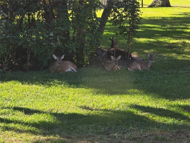 Building Photo - 4548 Forest Wood Trail