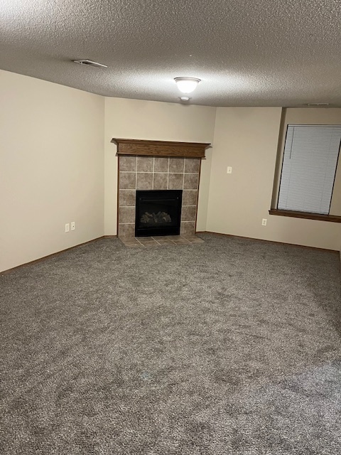 Basement living room - 3817 N Pepper Ridge St