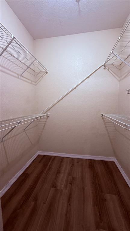 Building Photo - 2705 Maitland Crossing Way