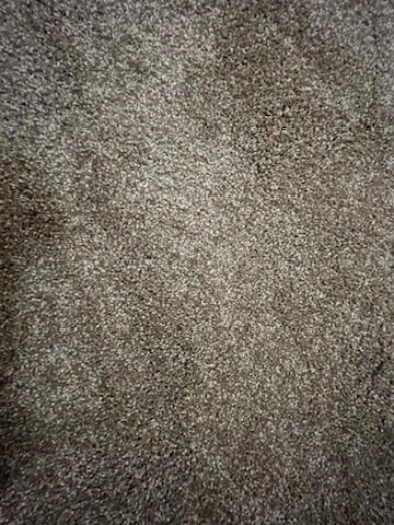 Brand NEW carpeting! - 8889 Caminito Plaza Centro