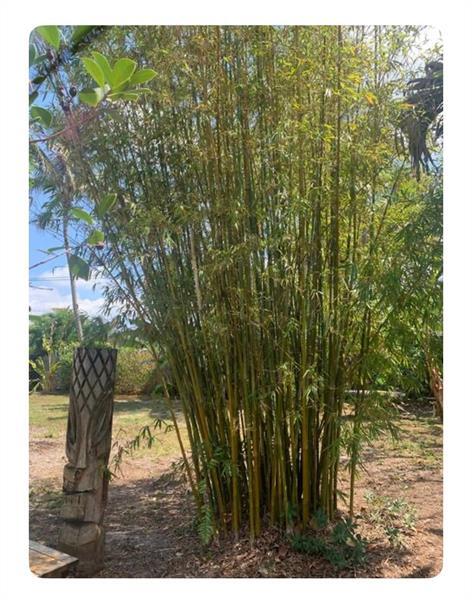 Building Photo - 536 NW 43rd St