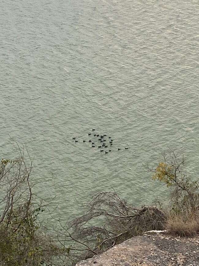 Building Photo - FURNISHED STUDIO CONDO WITH A MILLION DOLLAR LAKE VIEW