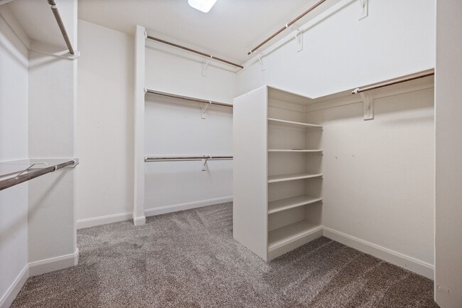 Building Photo - 18626 Luma Cove Ln