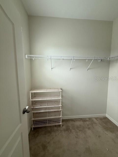 Building Photo - 7231 Shadeview Alley