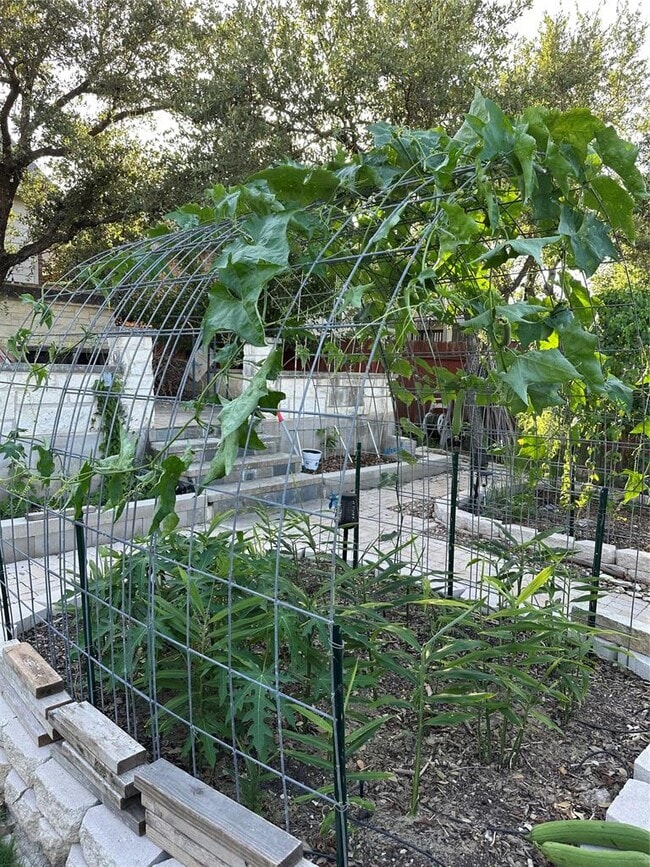 Building Photo - 520 Cameron Cove