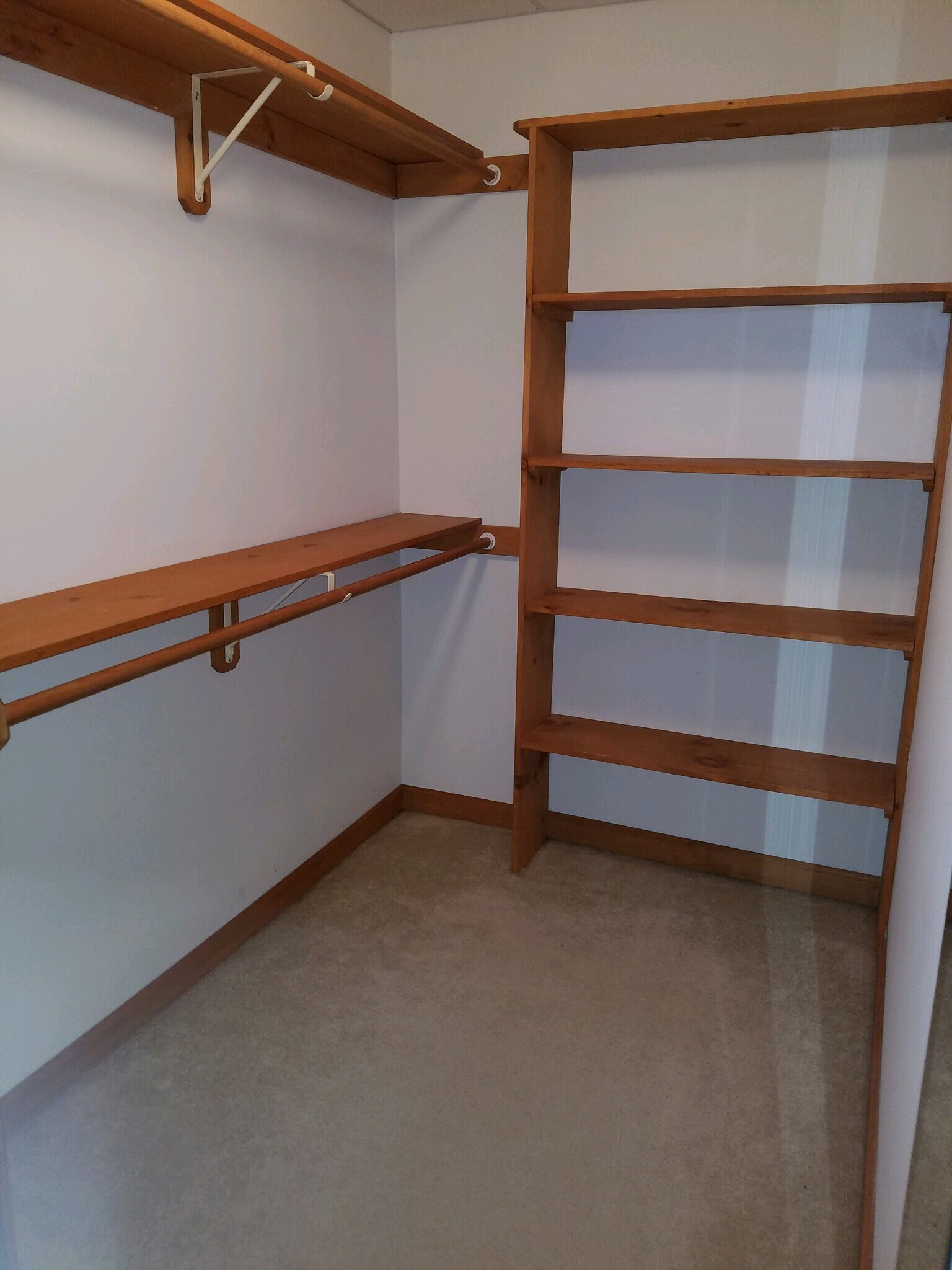 Walk-In Closet - 9 Mountain Laurel Ln