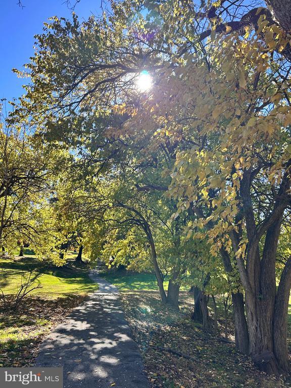 Building Photo - 1705 Mountainview Dr