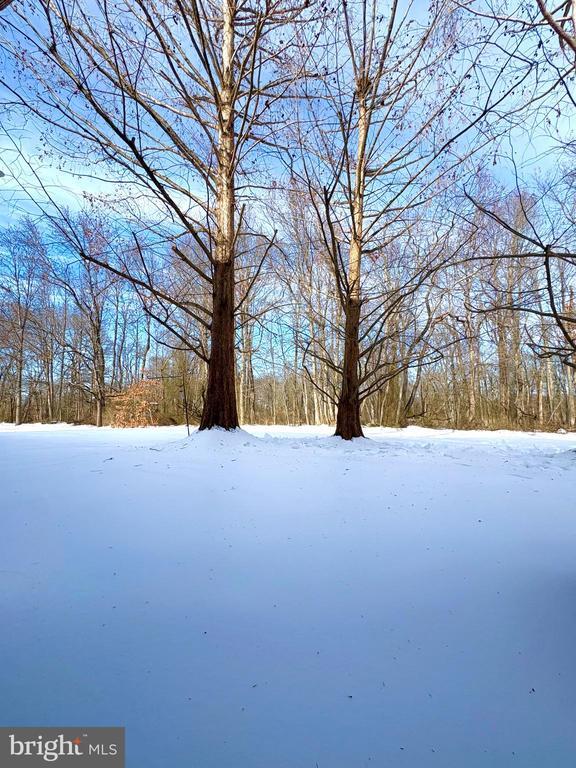 Building Photo - 416 Walden Cir