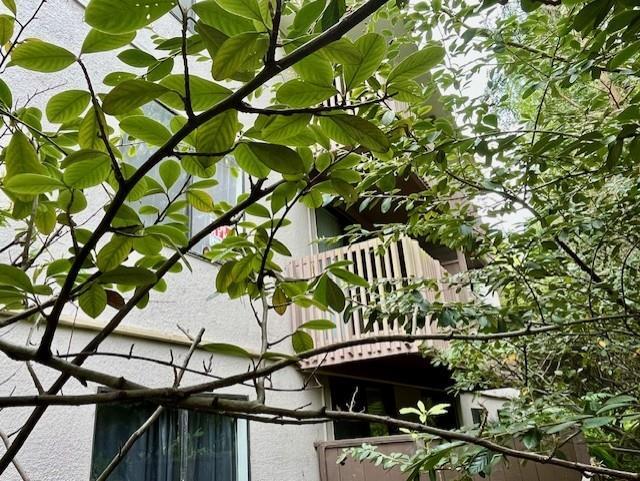 Building Photo - 6227 Shelter Creek Ln