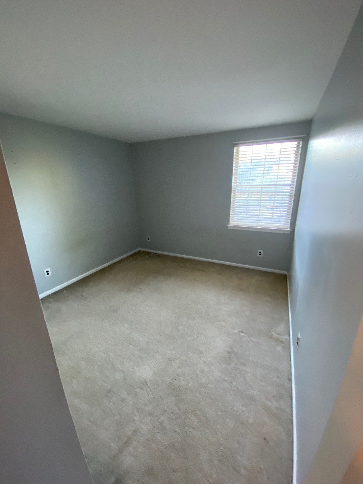 Building Photo - 121 Lamplighter Ct