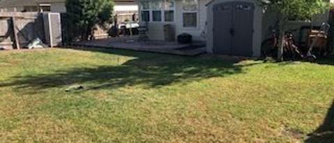 Primary Photo - 2123 Wiltshire Dr