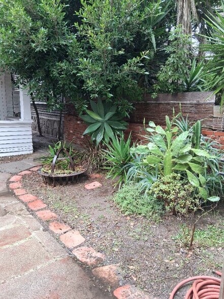 FRONT YARD - 49 Dudley Ave