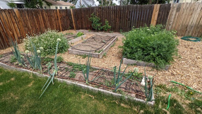 Building Photo - FABULOUS UPGRADED HOME IN CHAFFEE PARK INCL. WATER! MOVE-IN FEB. 1st!