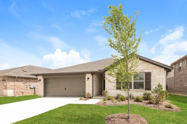 Building Photo - Brand-New 3-Bed Home with Designer Finishes, Energy Savings, and Community Amenities in Anna