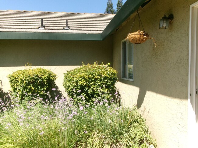 Building Photo - 218 Idlewild Dr