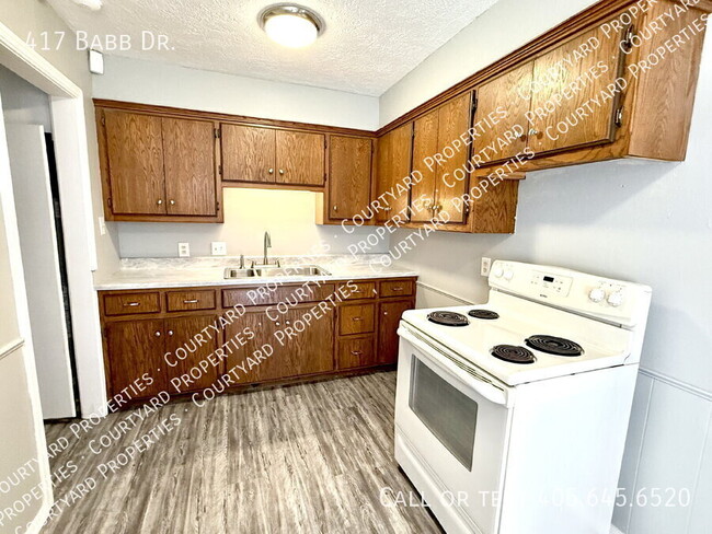 Building Photo - 417 Babb Dr
