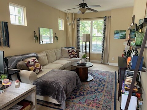 Small windows with natural light - 8130 Lenox Creekside Dr