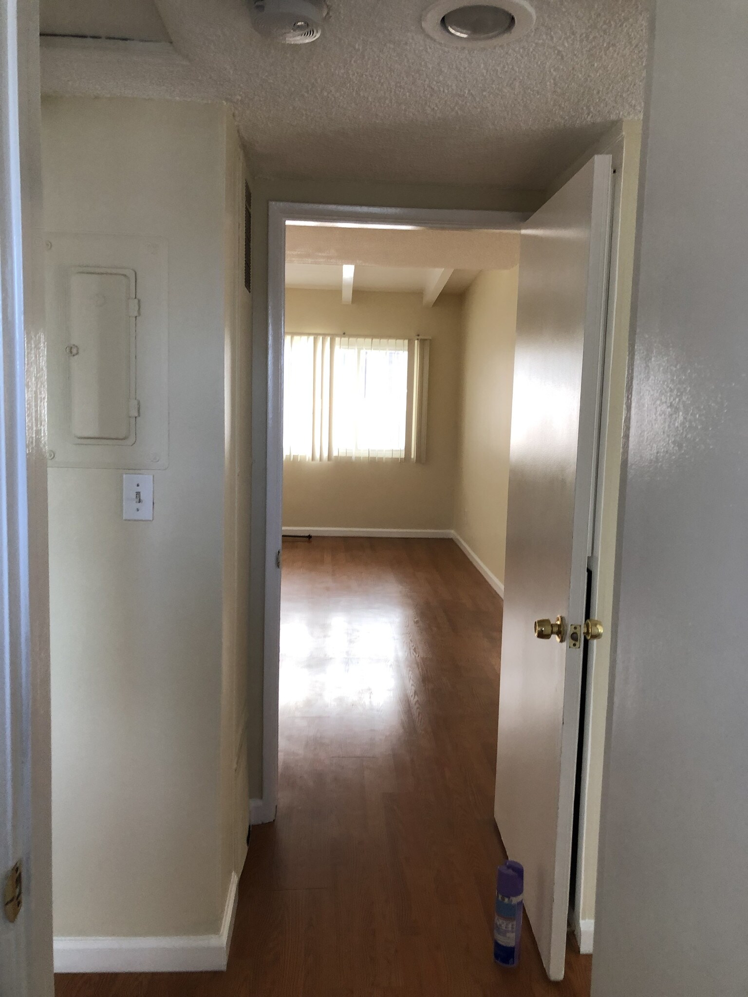 Hallway - 328 Griswold St