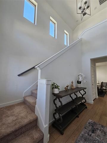 Building Photo - 4803 Stardust Trl
