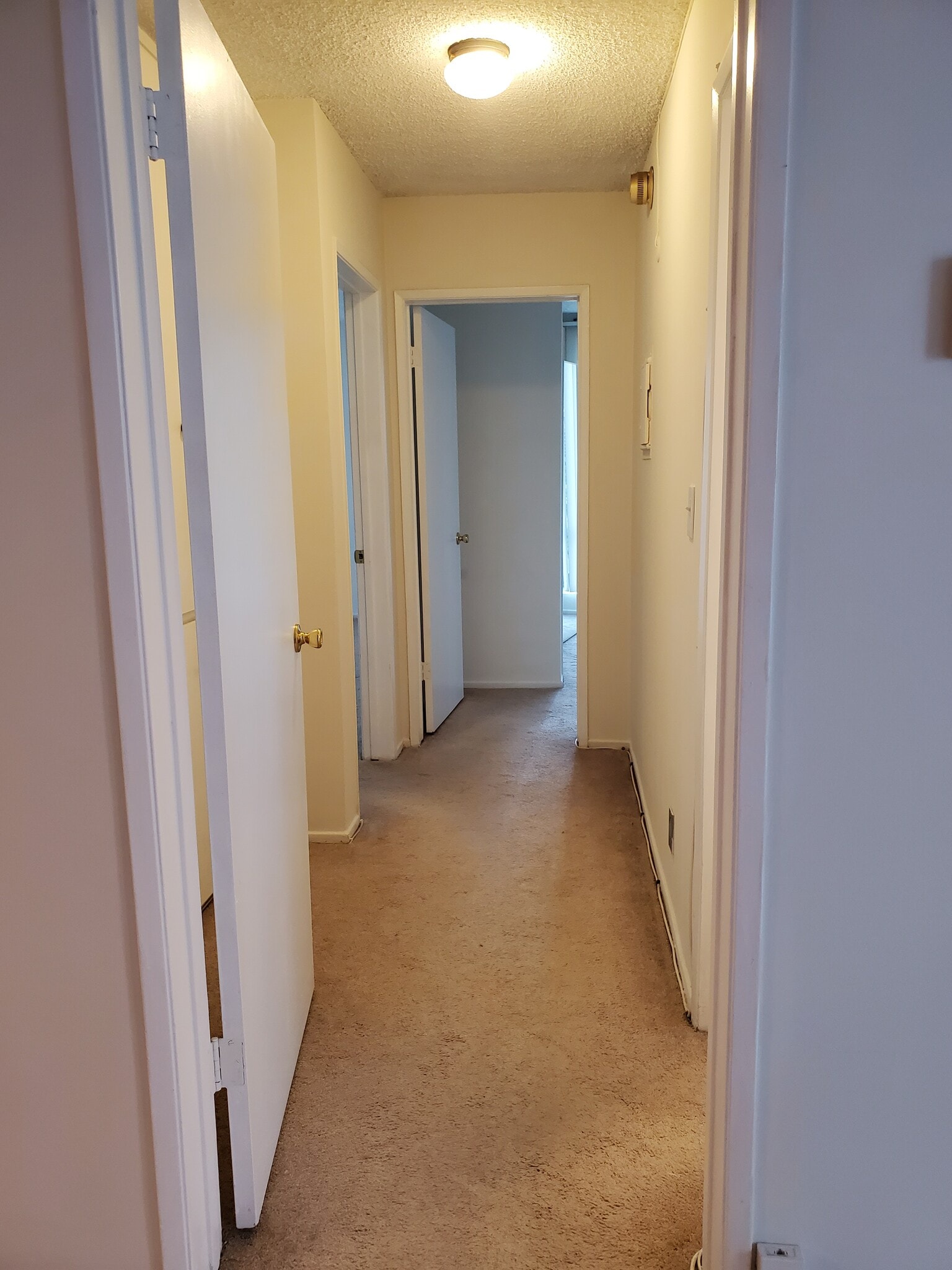 Hallway to Bedrooms - 6199 Canterbury Dr